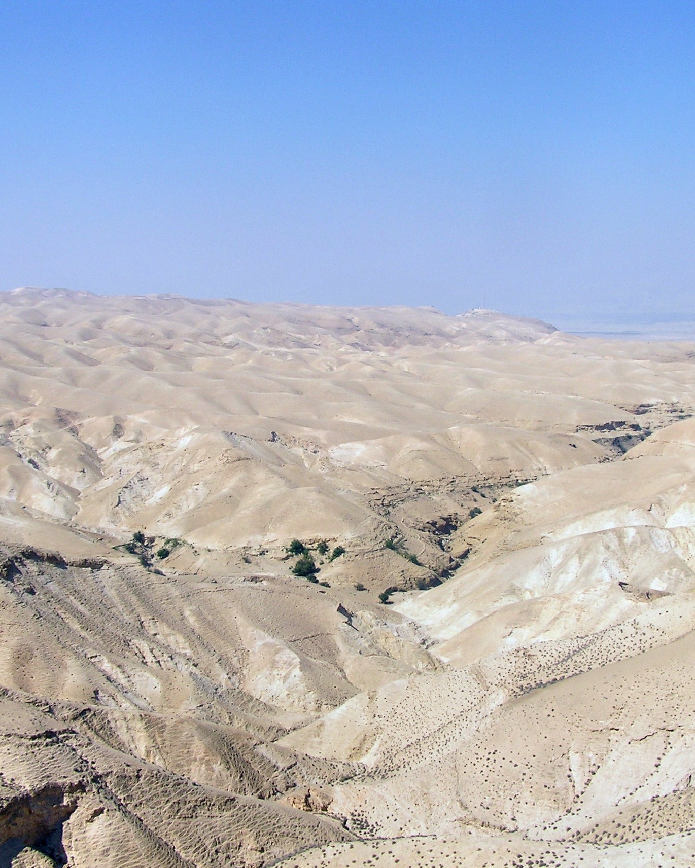 Im Glauben wachsen – die unsichtbare Linie